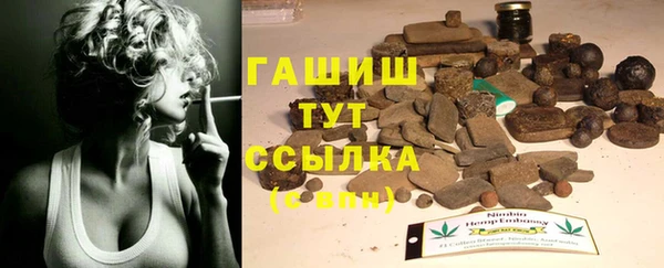 мдпв Богородск