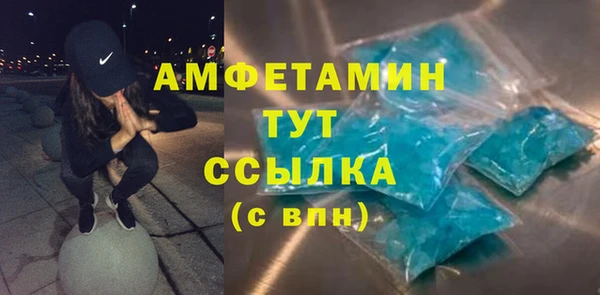 мдпв Богородск