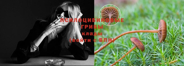 мдпв Богородск