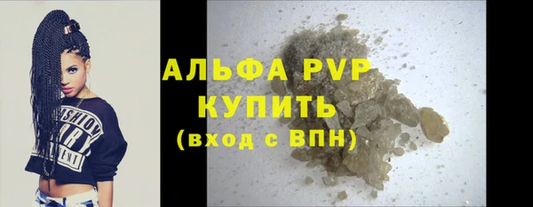 PSILOCYBIN Богданович