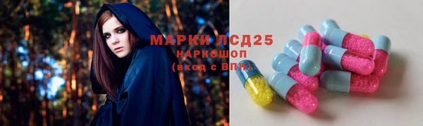 мдпв Богородск