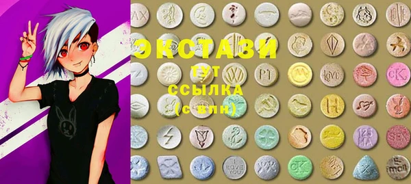 мдпв Богородск