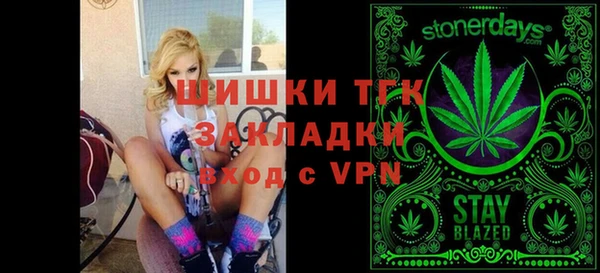 мдпв Богородск