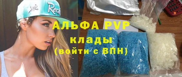 PSILOCYBIN Богданович