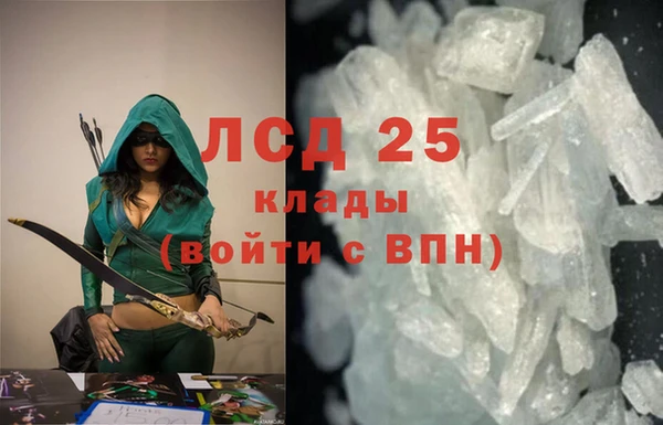 PSILOCYBIN Богданович